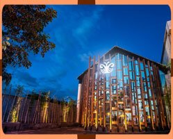 Slider image (7) Cocoon Medical Spa - Aesthetic and Anti-Aging Clinic in Bali